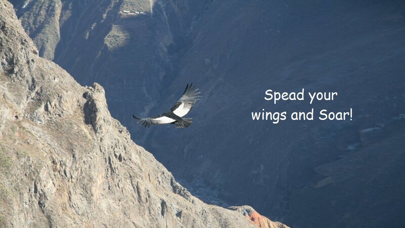 Condor Flying over Canyon