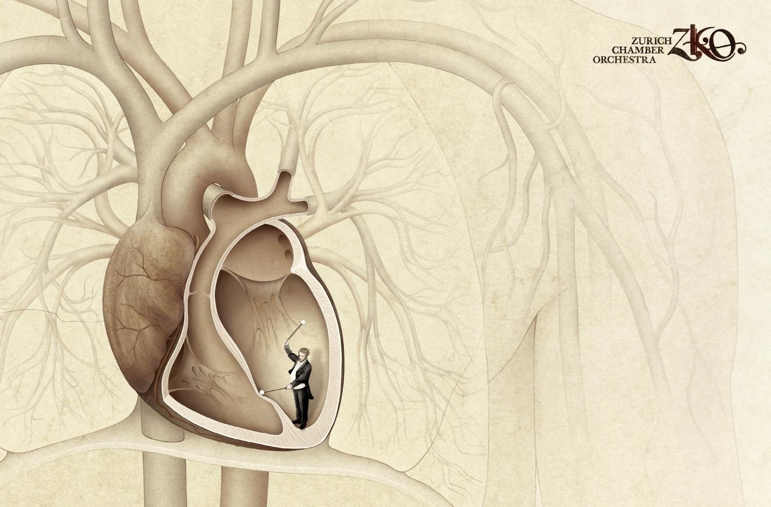 Conductor inside a heart