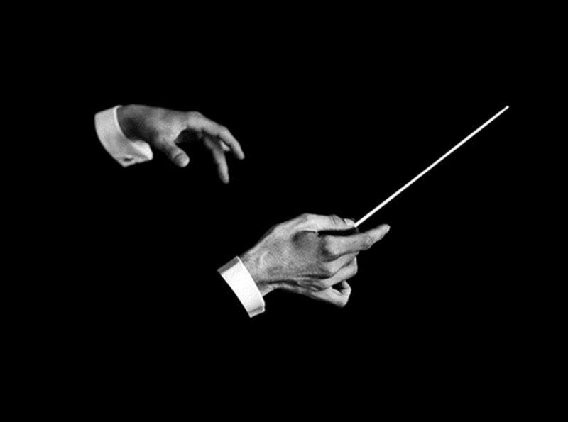 Conductor's Hands with Baton