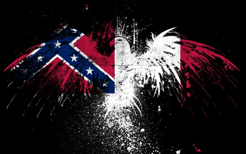 Confederate flag eagle art