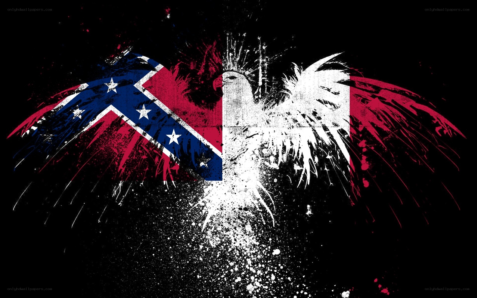 Confederate flag eagle art
