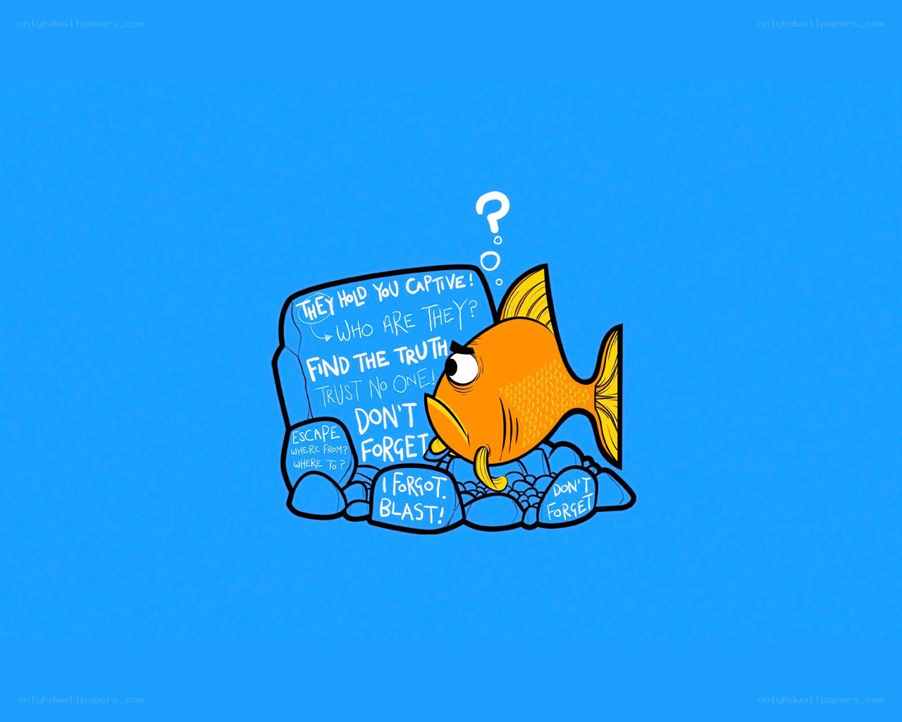 confused fish with thoughts
