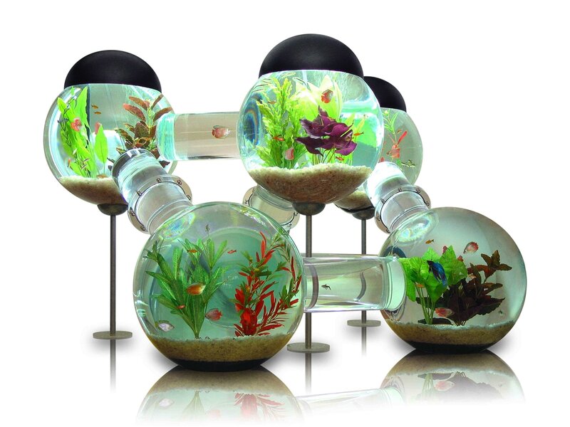 Connected Fishbowls