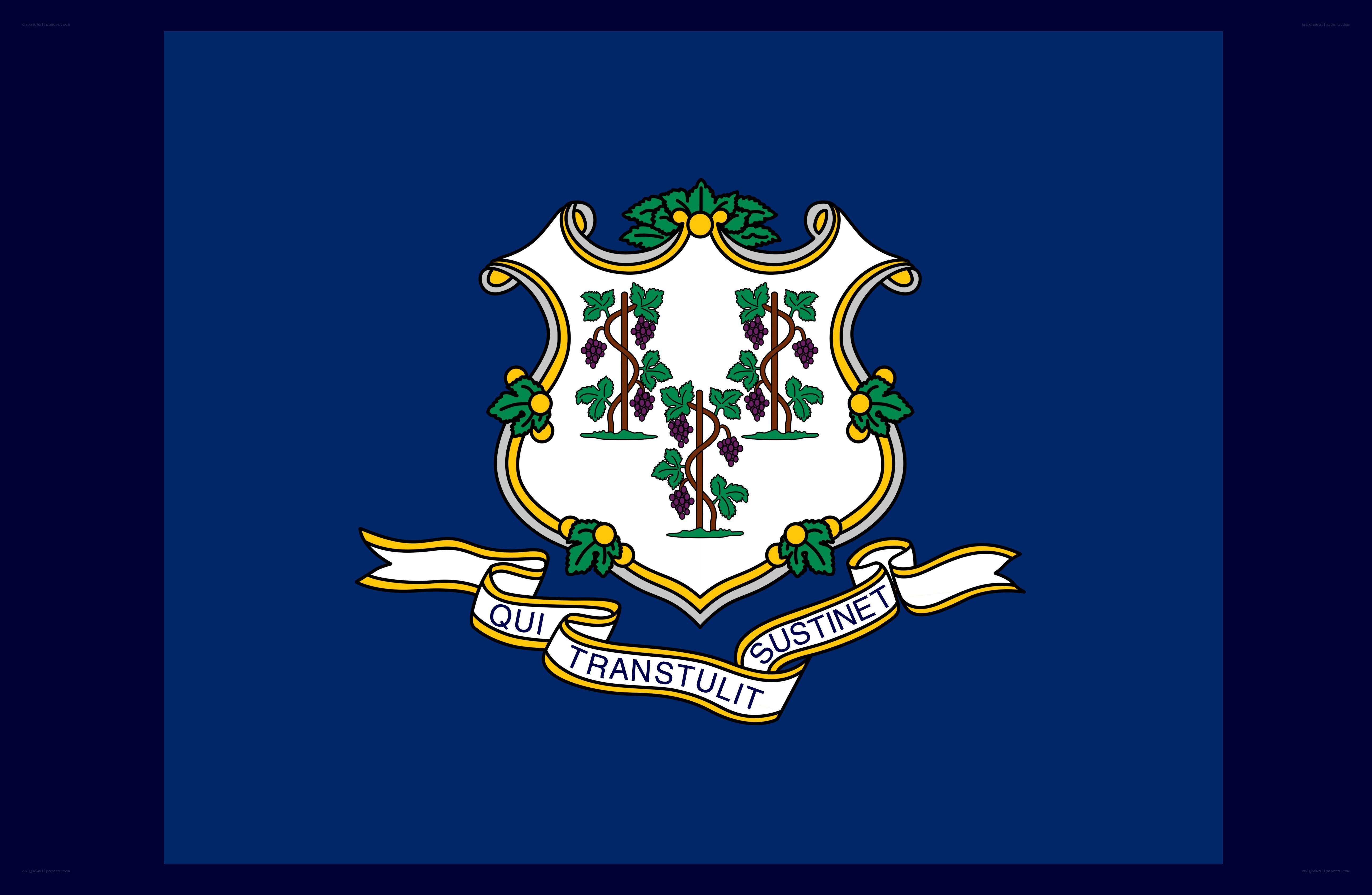 Connecticut state flag