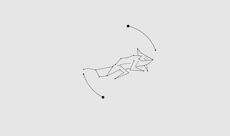 Constellation Fox
