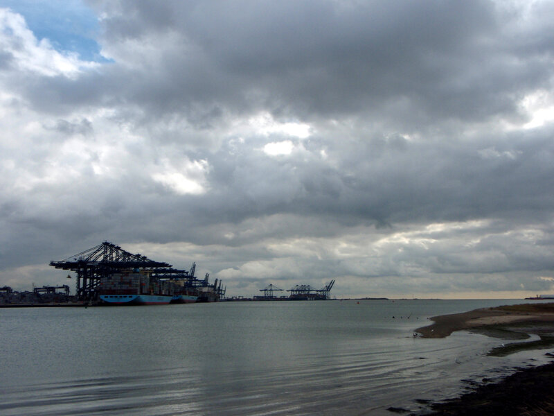 Container Ship at Port — Gray