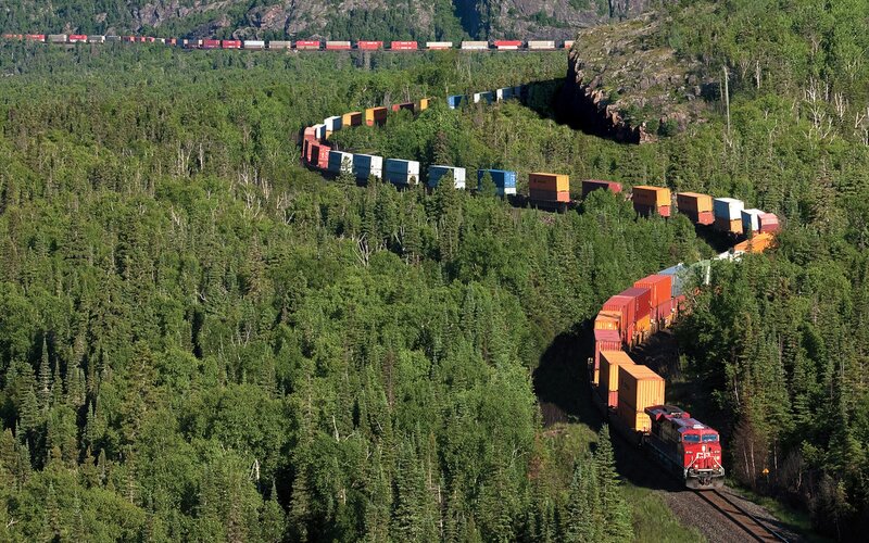 Container Train in Forest