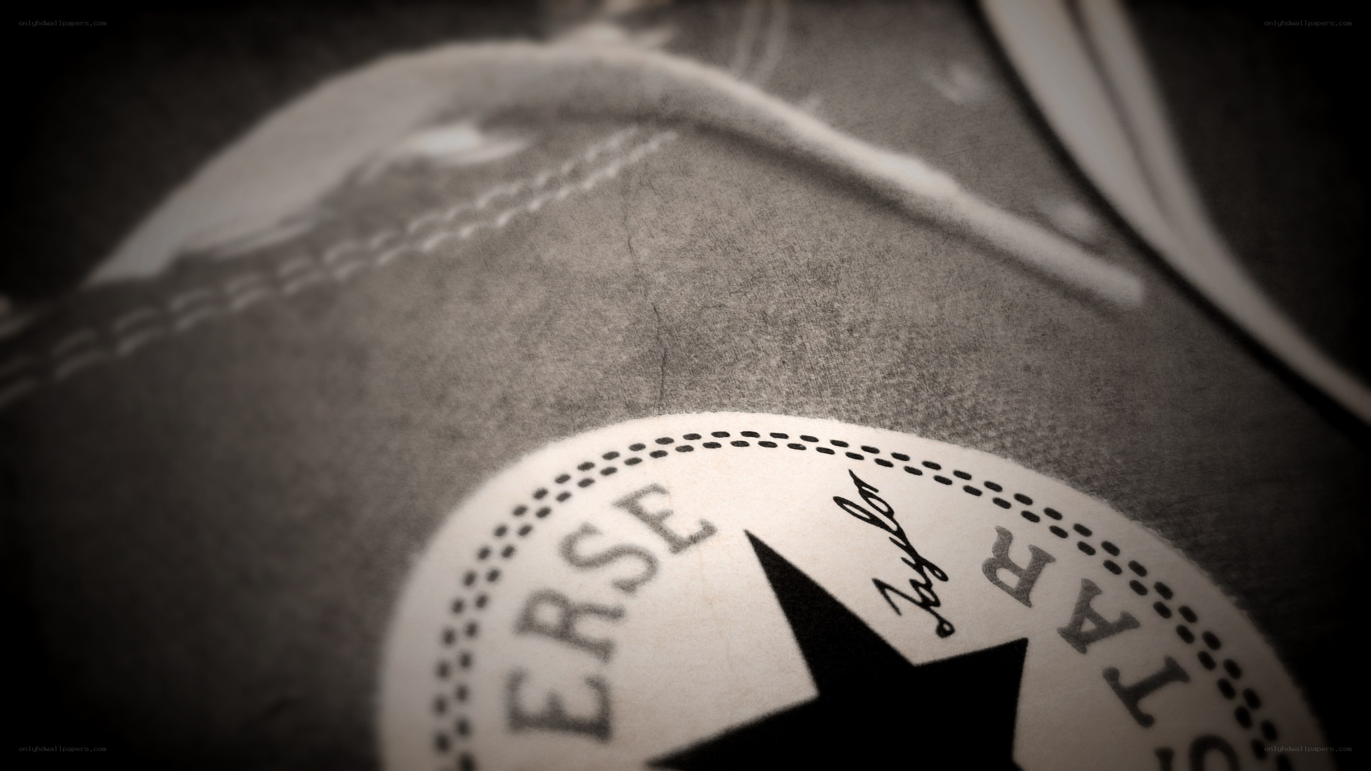 Converse shoe logo close-up