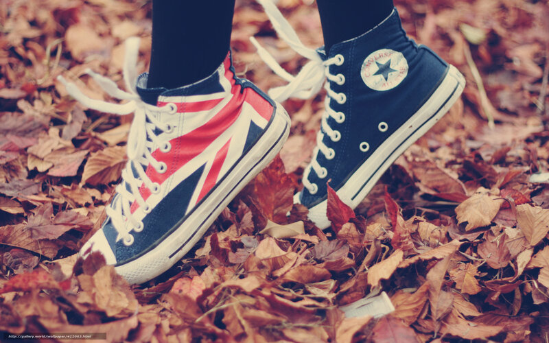 Converse Sneakers in Leaves