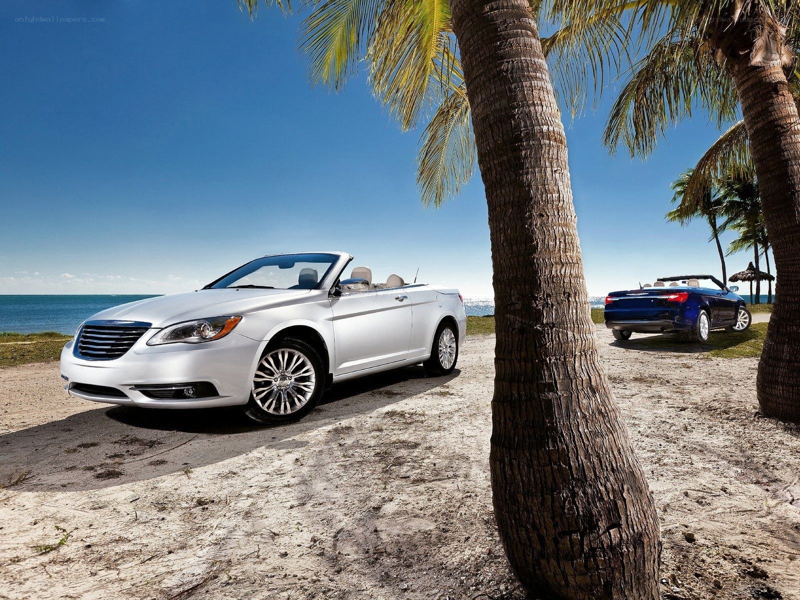Convertibles on a tropical beach
