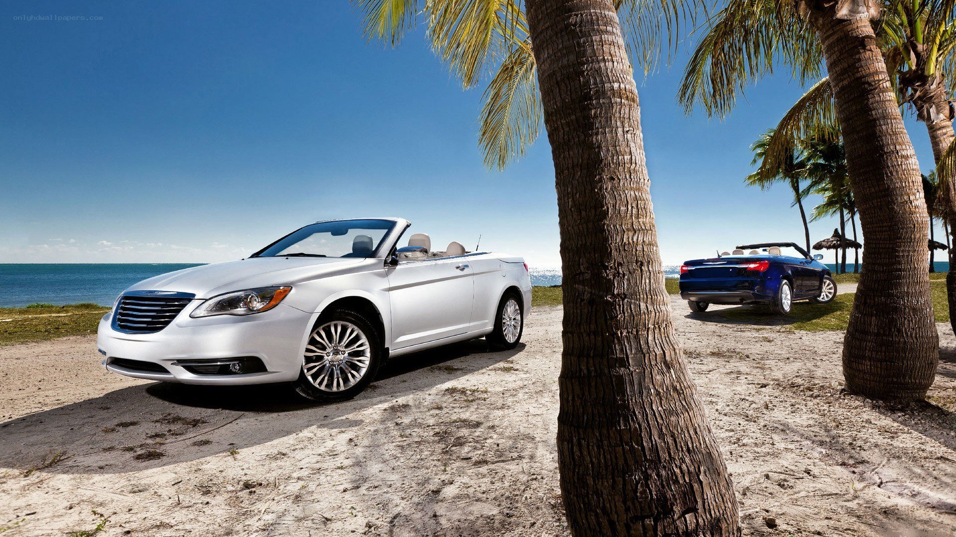 Convertibles on a tropical beach