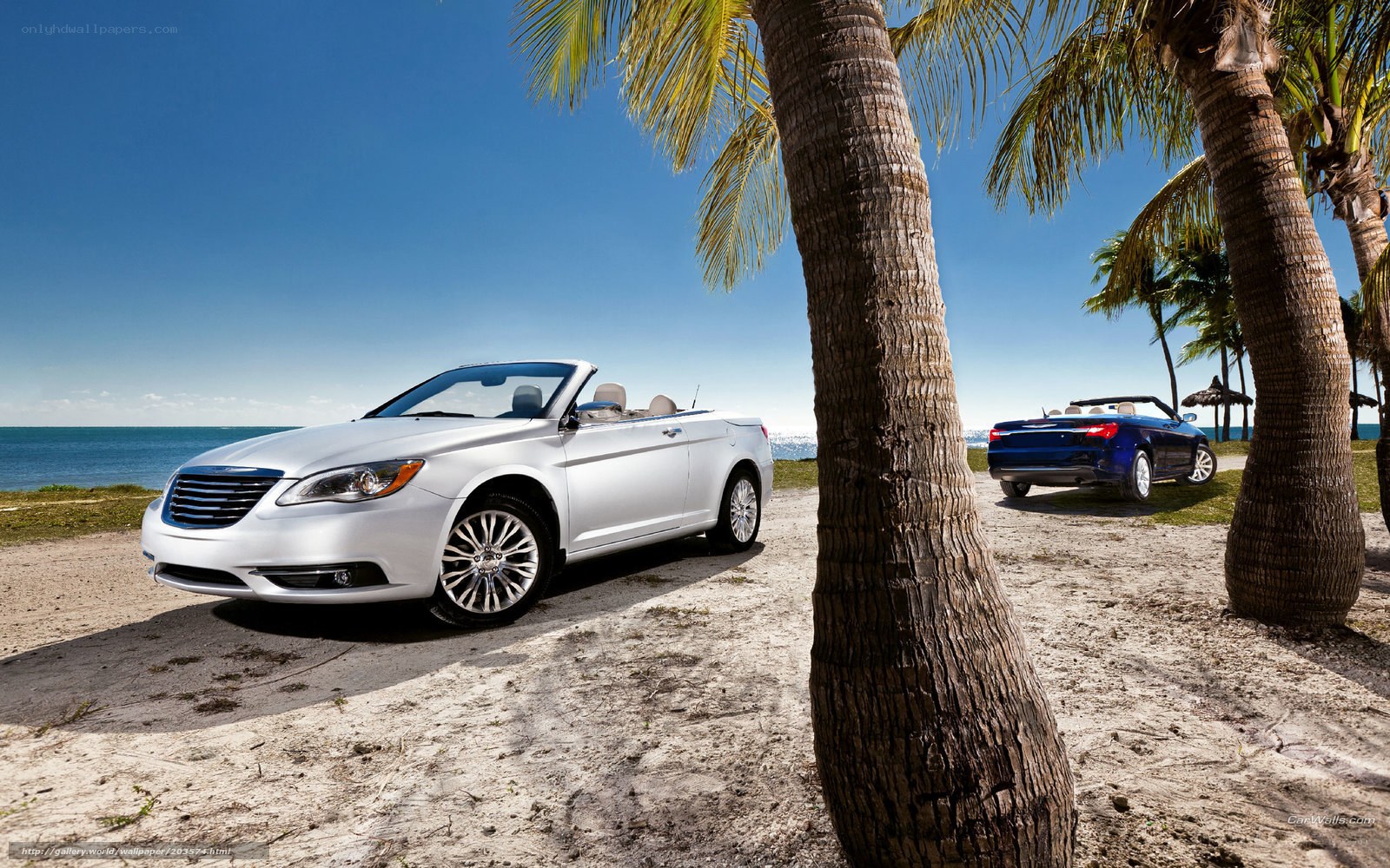 Convertibles on a tropical beach