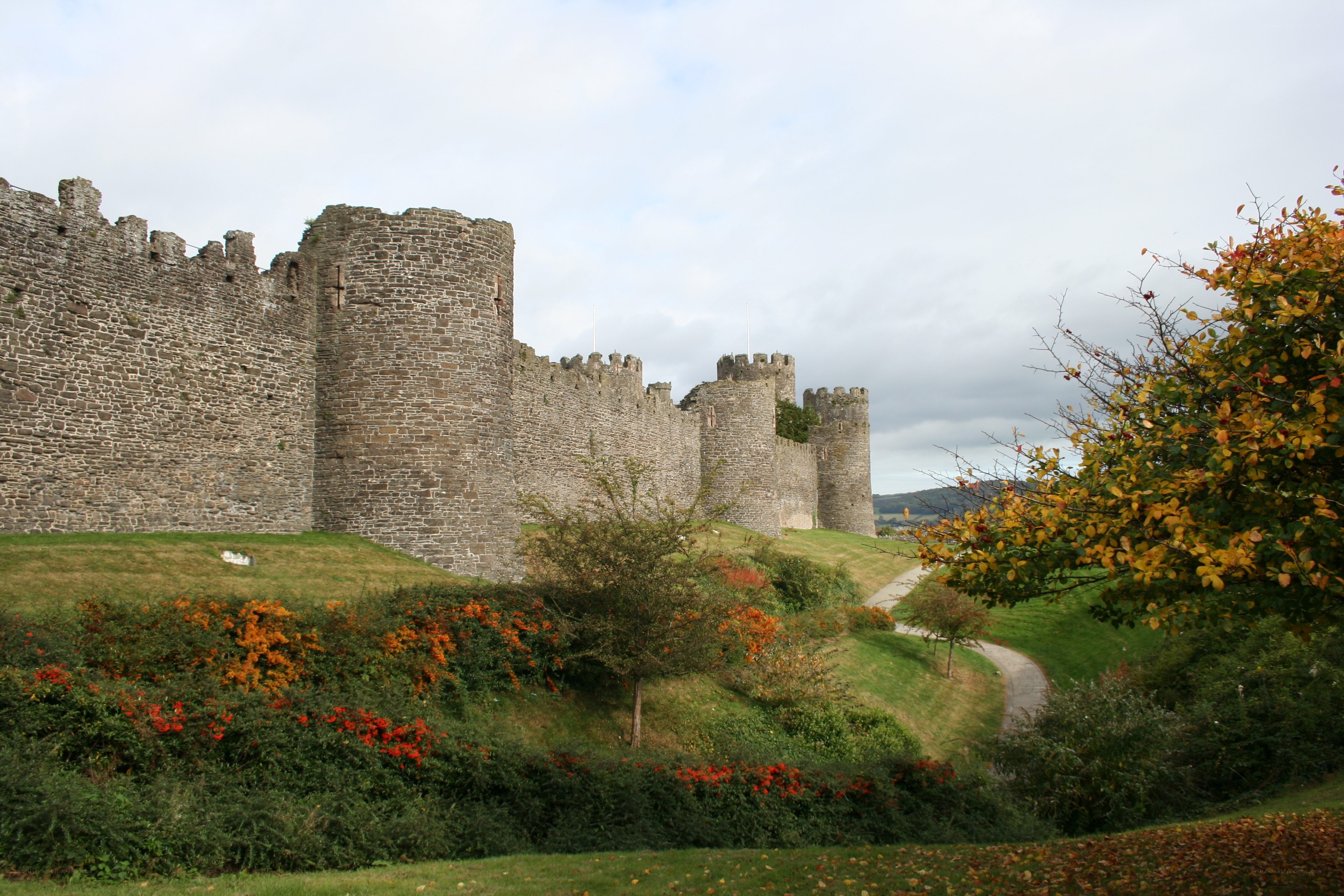 Conwy Castle in autumn