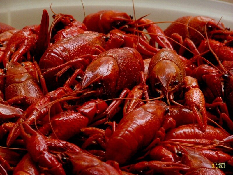 Cooked Crawfish in Bowl