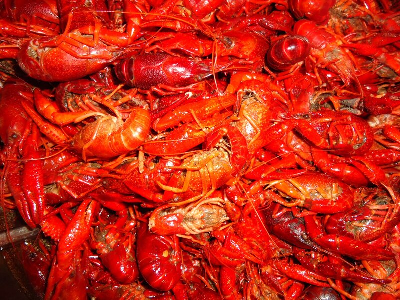 Cooked Crawfish Pile — Red, Appetizing