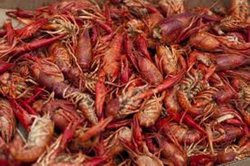 Cooked Crawfish Pile
