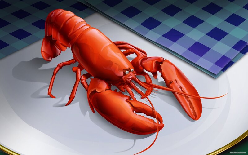 Cooked Lobster on Plate — Red