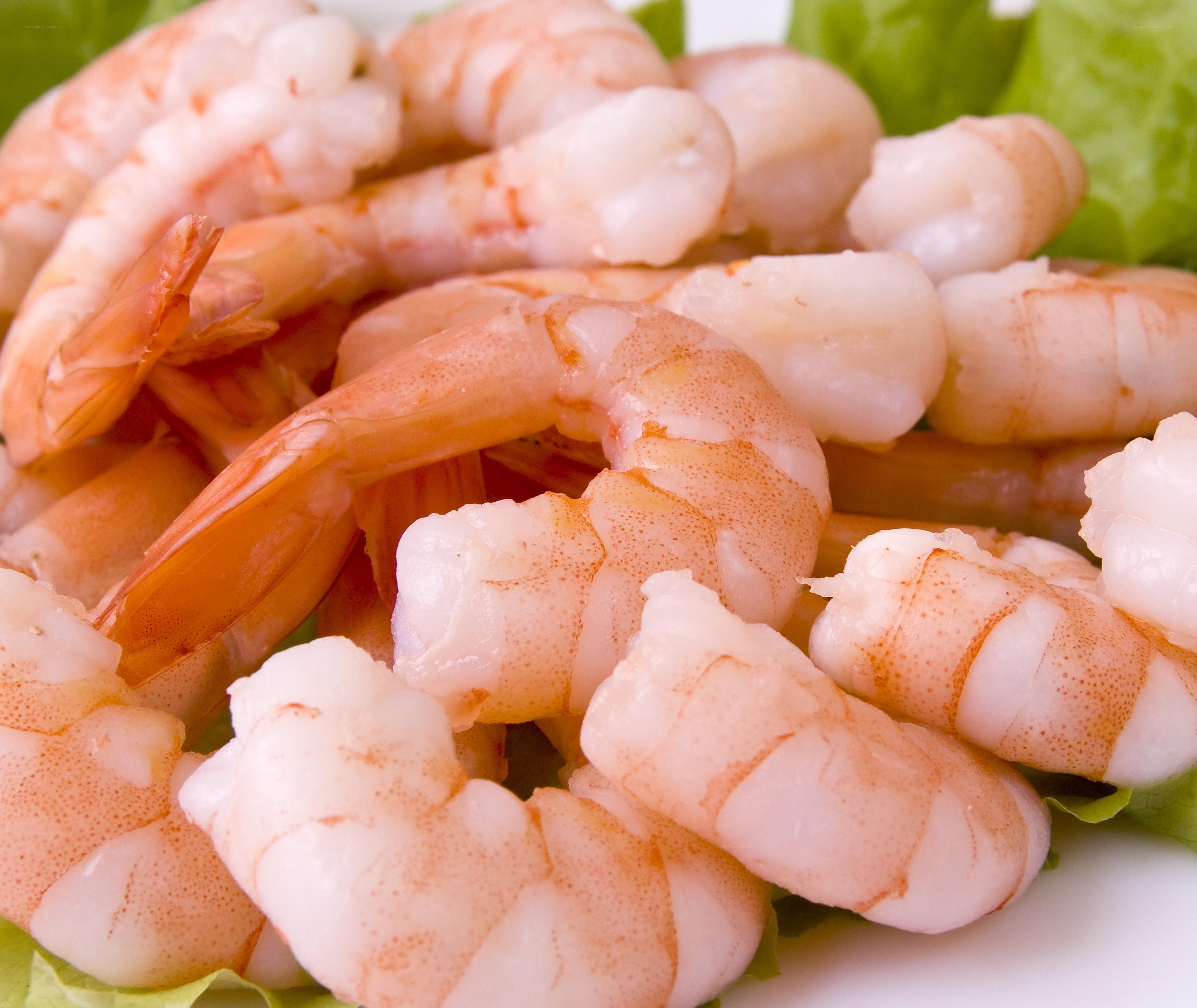 cooked shrimp on lettuce
