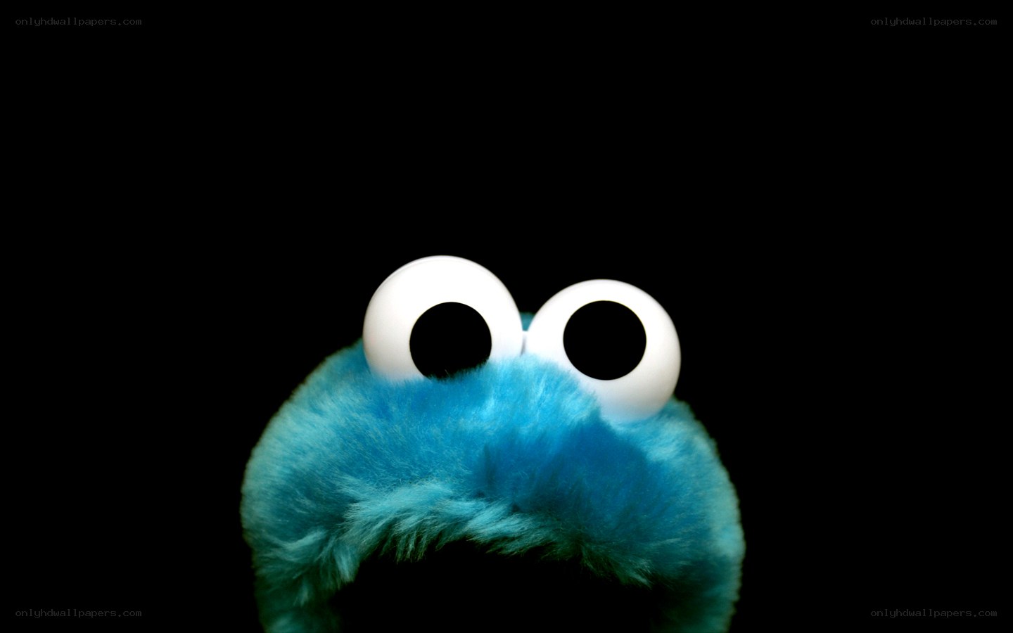 Cookie Monster eyes close-up