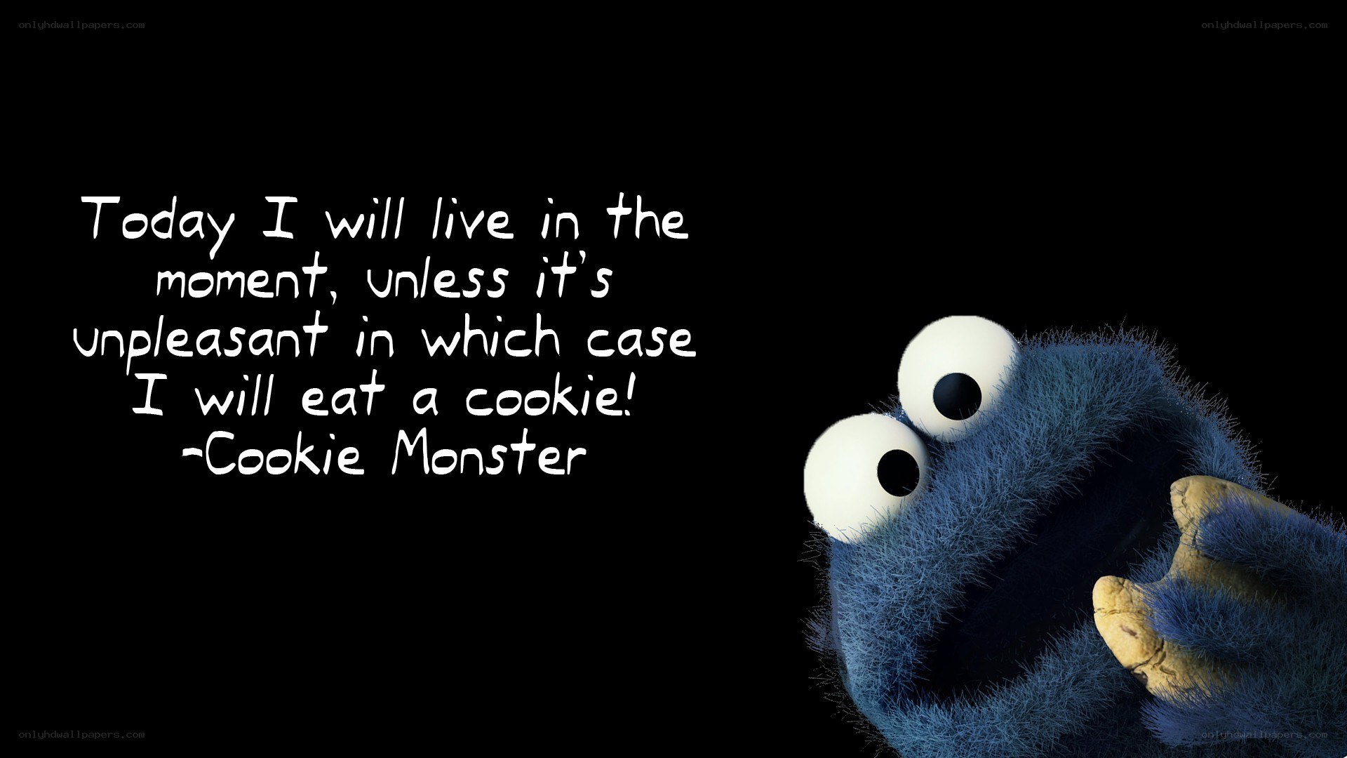 Cookie Monster quote