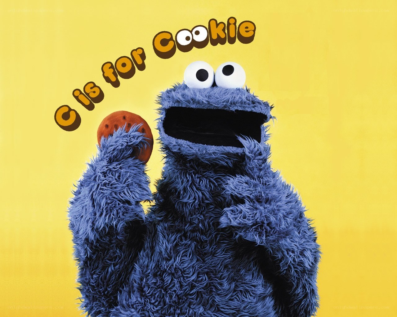 Cookie Monster with cookie
