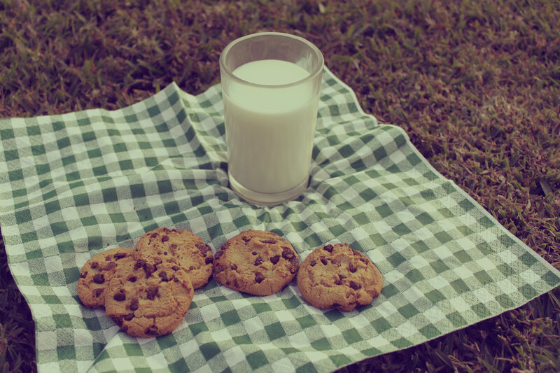 Cookies and milk on a blanket