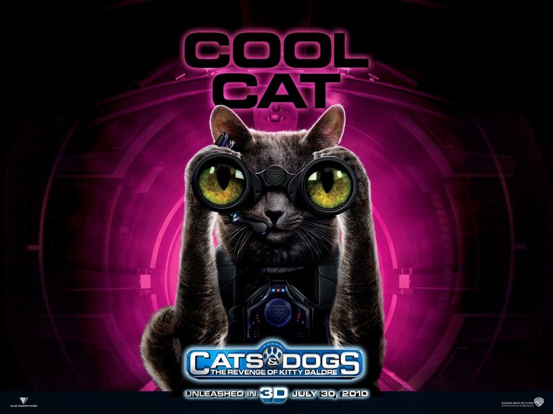 Cool Cat movie poster
