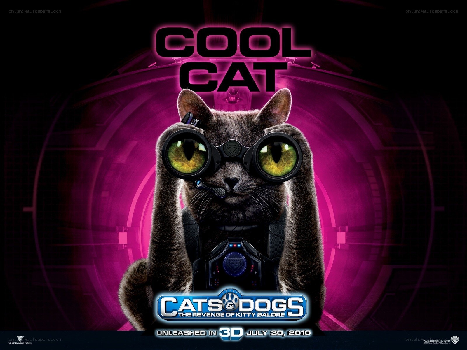 Cool Cat movie poster