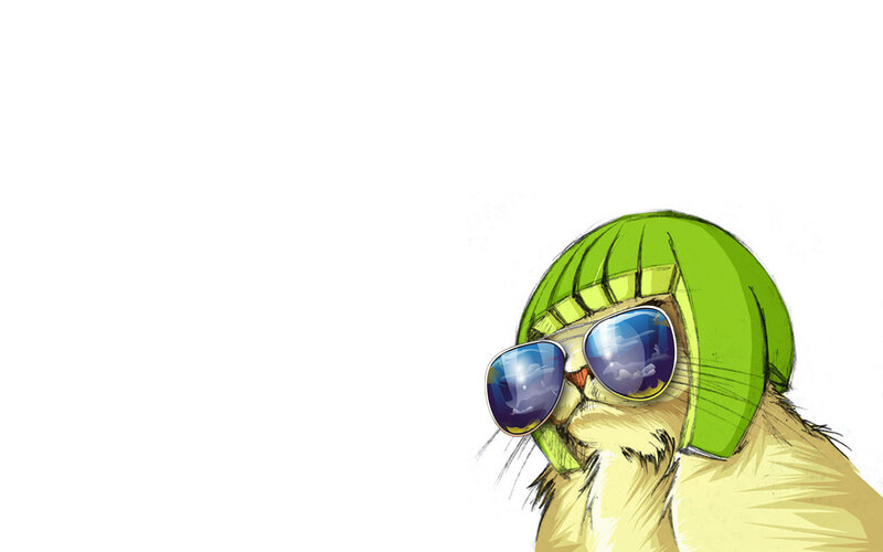 cool cat with sunglasses