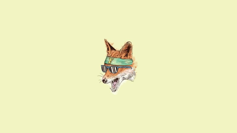 cool fox with sunglasses