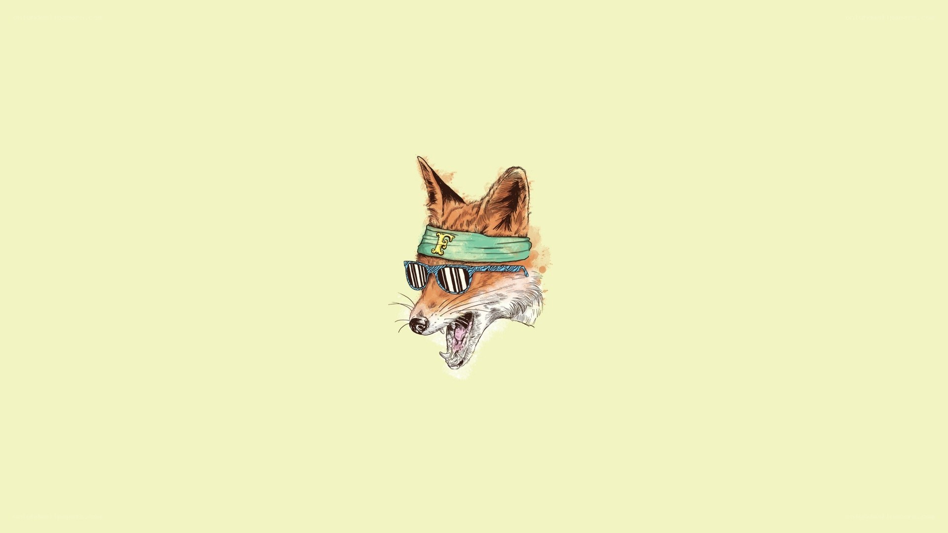 cool fox with sunglasses