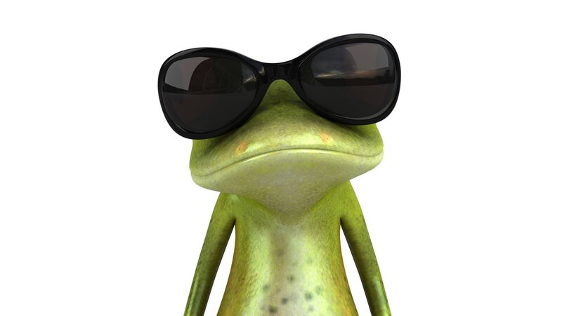 cool frog with sunglasses