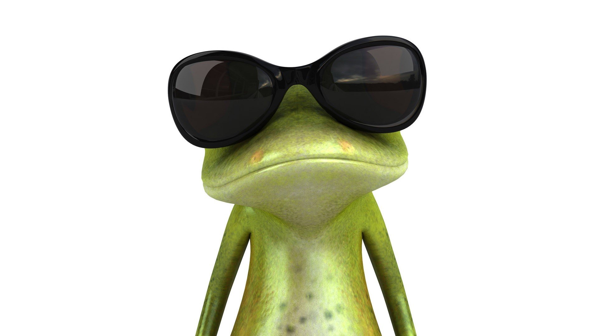 cool frog with sunglasses
