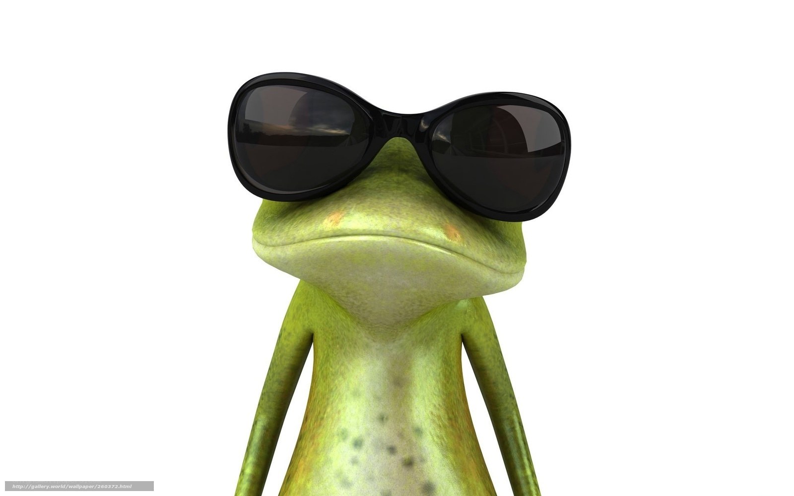 cool frog with sunglasses