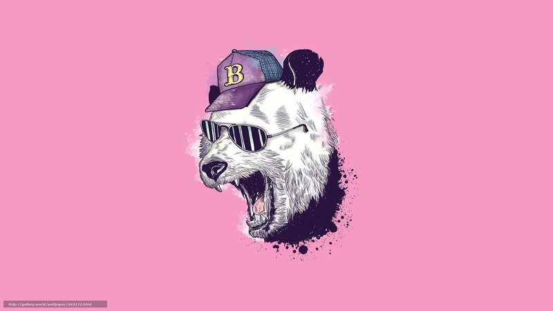 cool panda with sunglasses