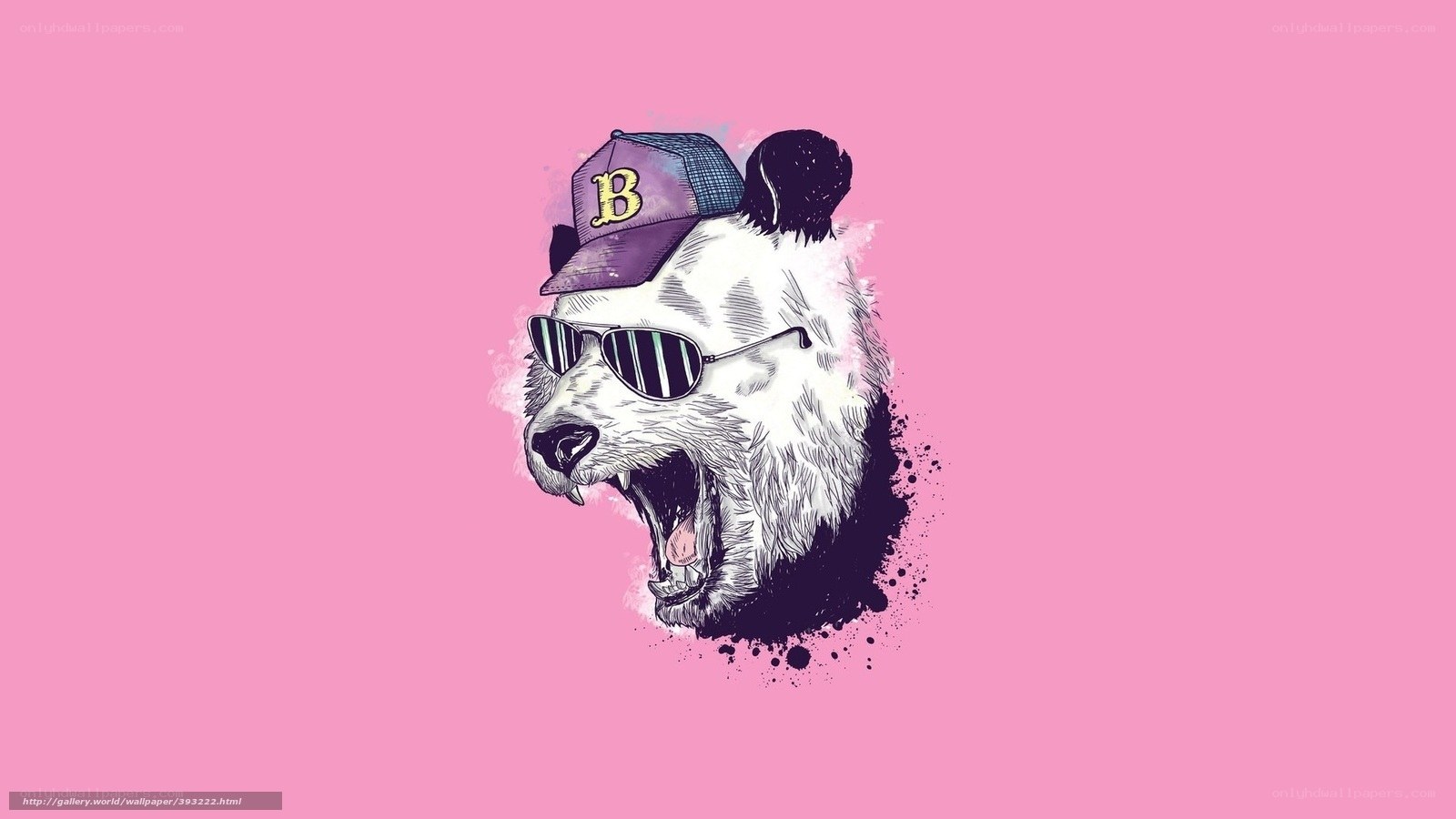 cool panda with sunglasses