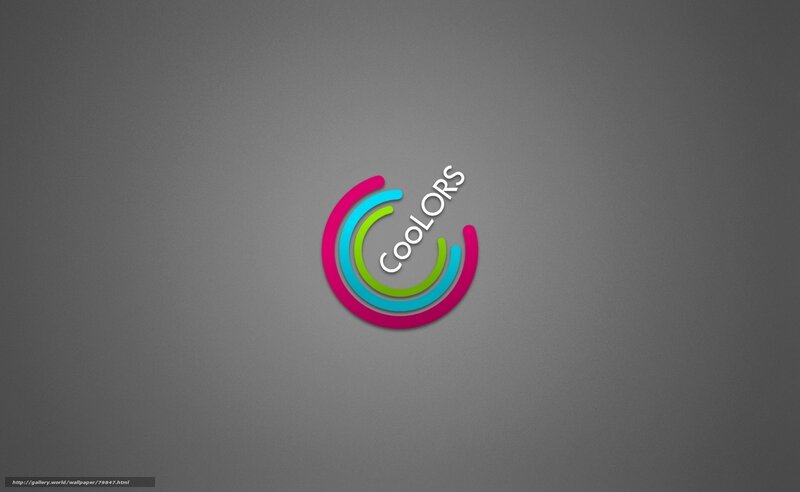 Coolors logo on gray background