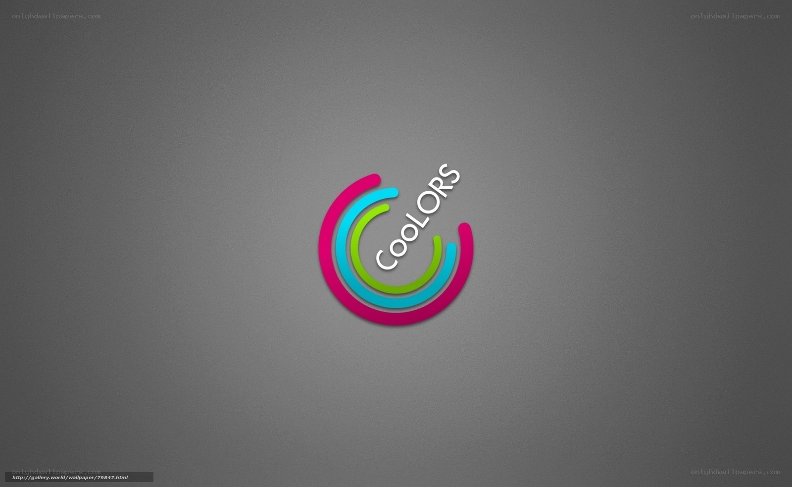 Coolors logo on gray background