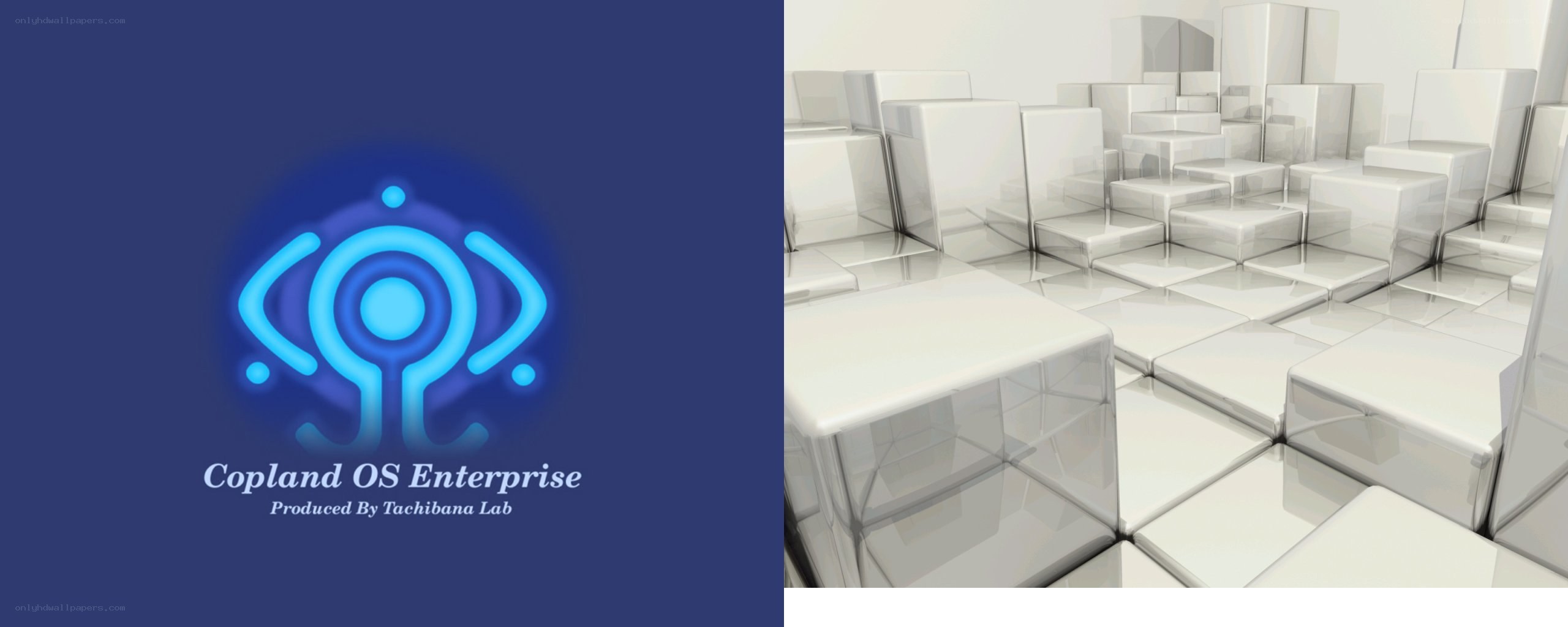 Copland OS Enterprise logo