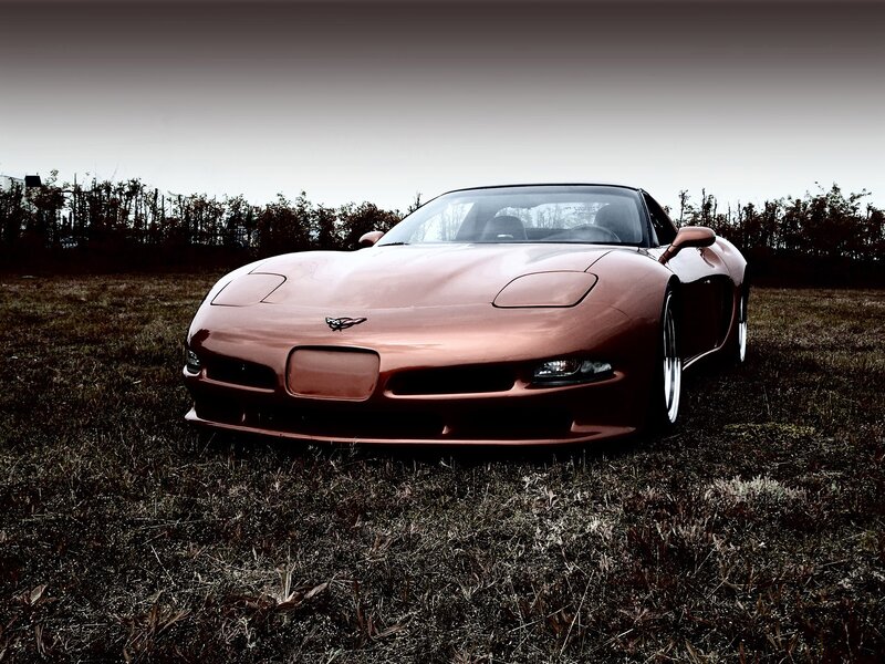 Copper Corvette in a field