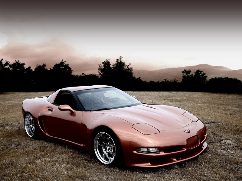 Copper Corvette in a field