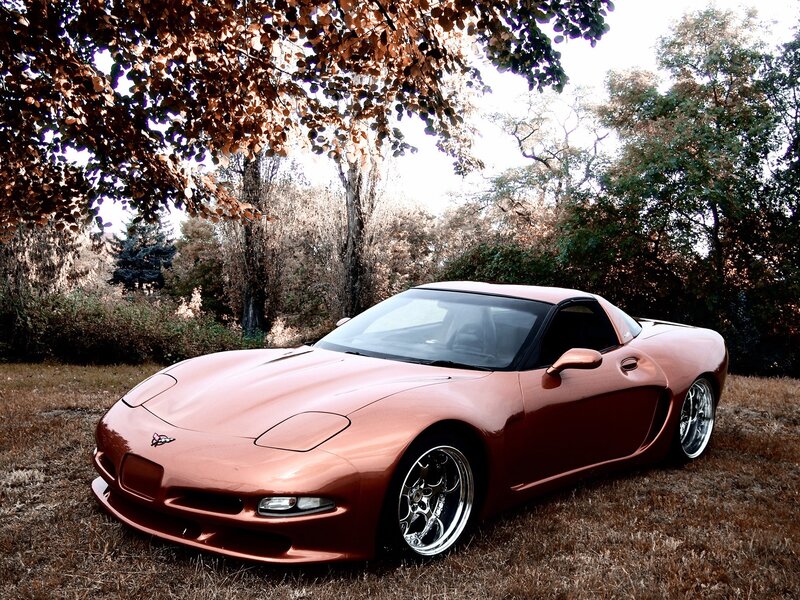 Copper Corvette in Autumn