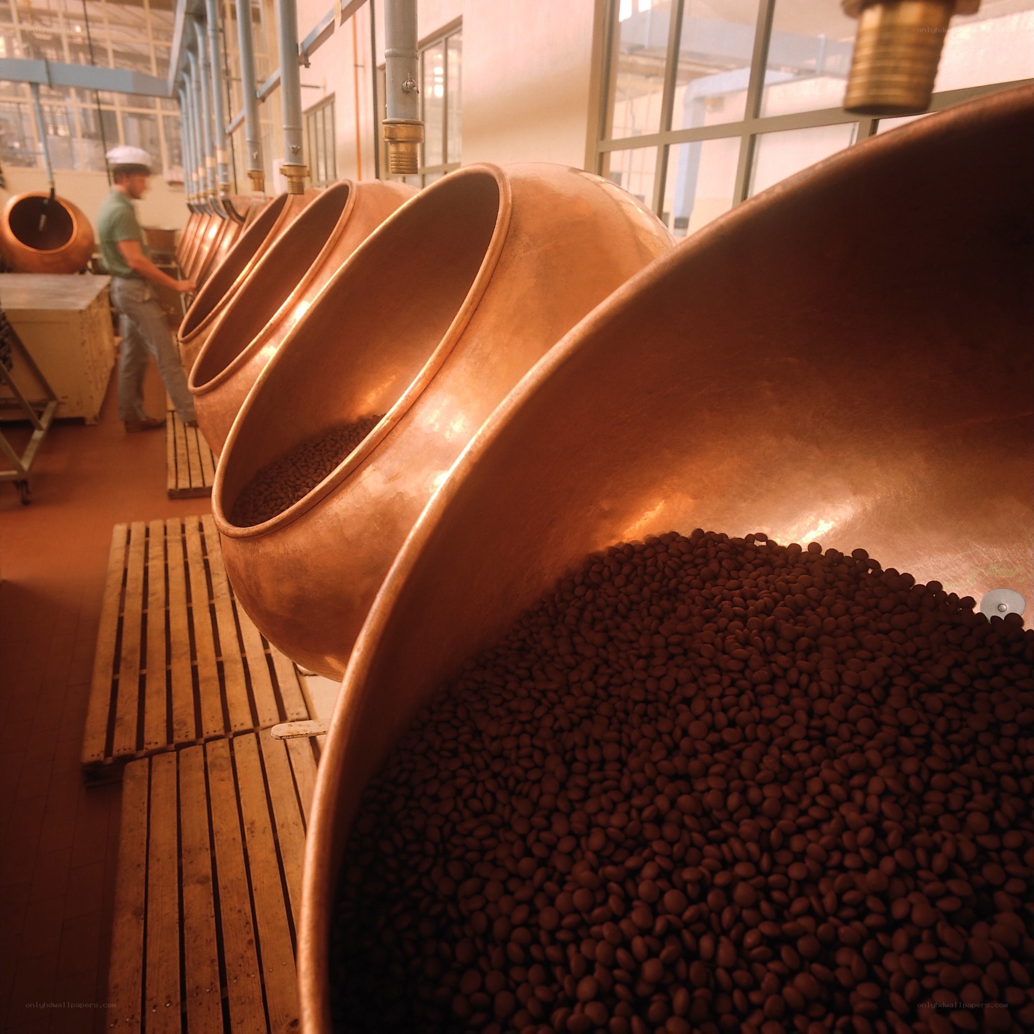 Copper vats in a distillery