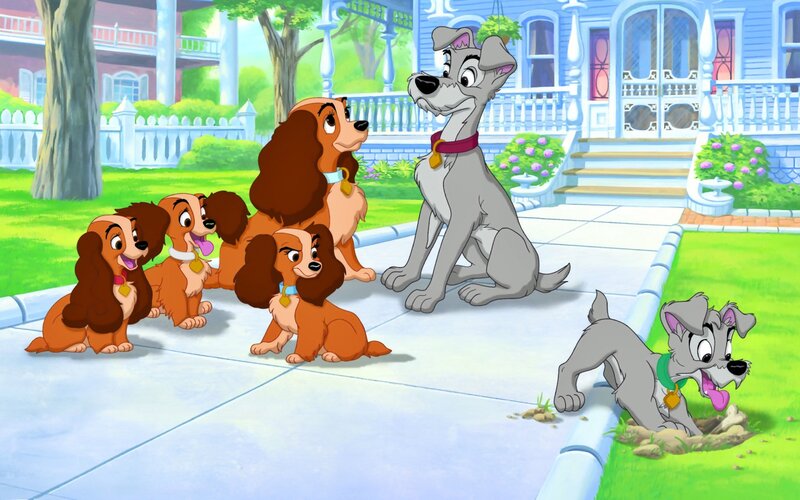 Coppertop Puppies with Scamp