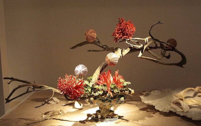 Coral and sea urchin arrangement