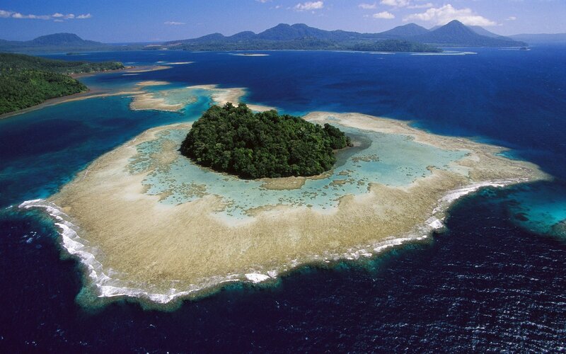 Coral Atoll with Forest — Blue