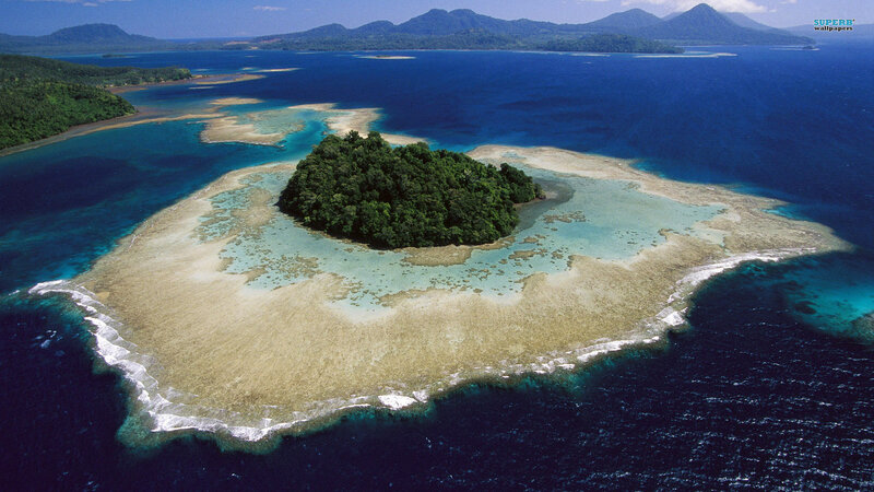 Coral Atoll with Forest