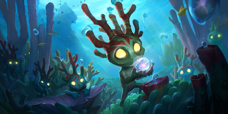 Coral-like Creatures Underwater