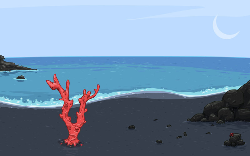 Coral on a black sand beach