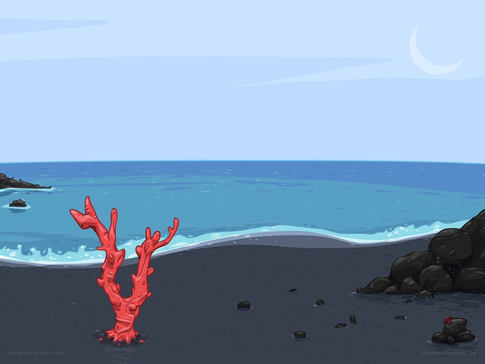 Coral on a black sand beach